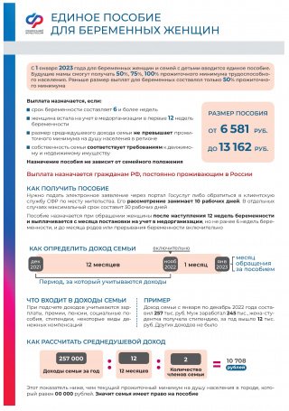 Единое пособие для беременных женщин